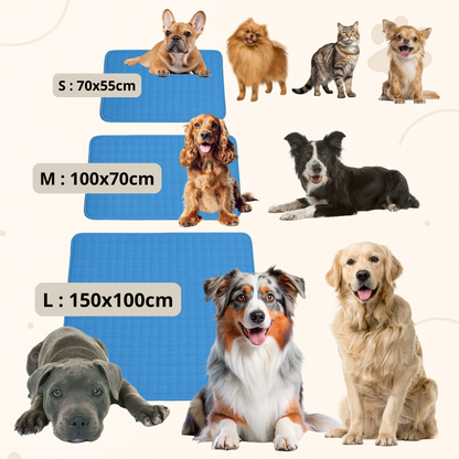 Tapis Rafraîchissant d'été pour chiens et chats