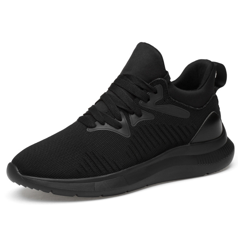 Modeste - Hauteur de 3