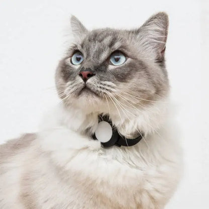 Collier Air-Tag pour chat et chien