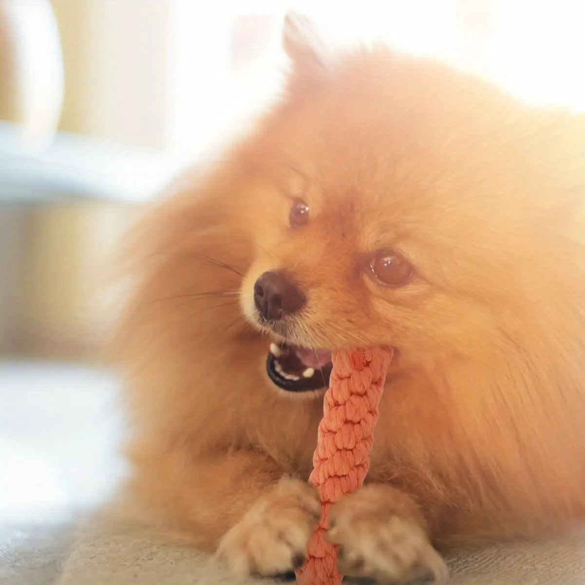 Carotte Anti-Stress - Le Best Seller